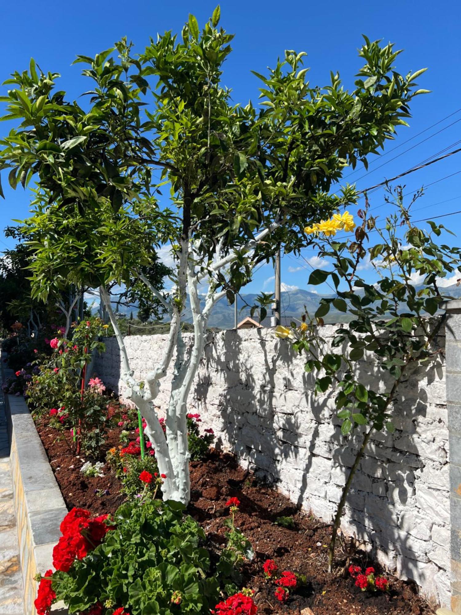 Amazing Familiar Apartments And Rooms Sarande Exterior photo